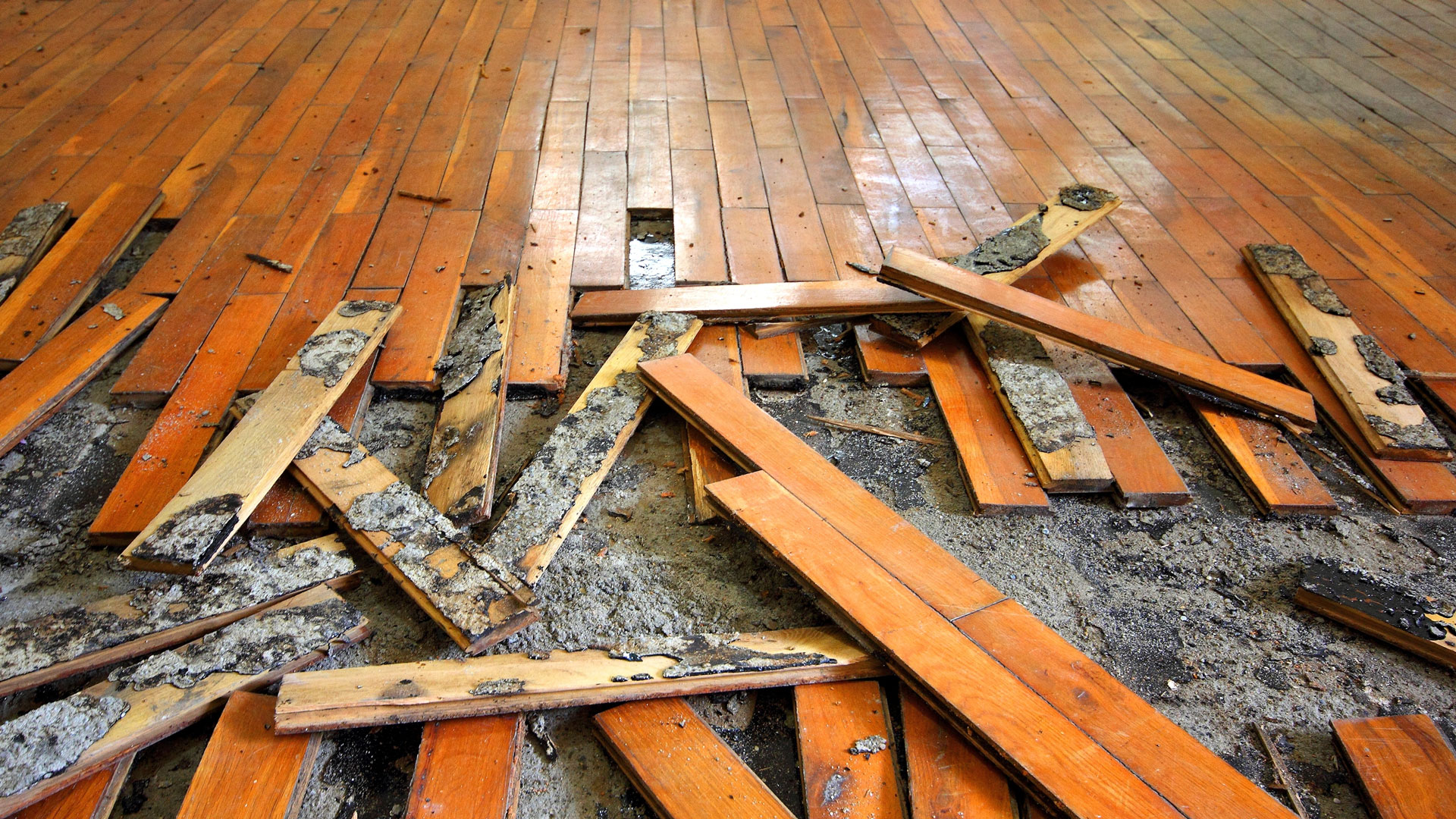 Repairing Your Old Wood Floors - E_M Custom Flooring \u0026 Installations, image size:1920x1080