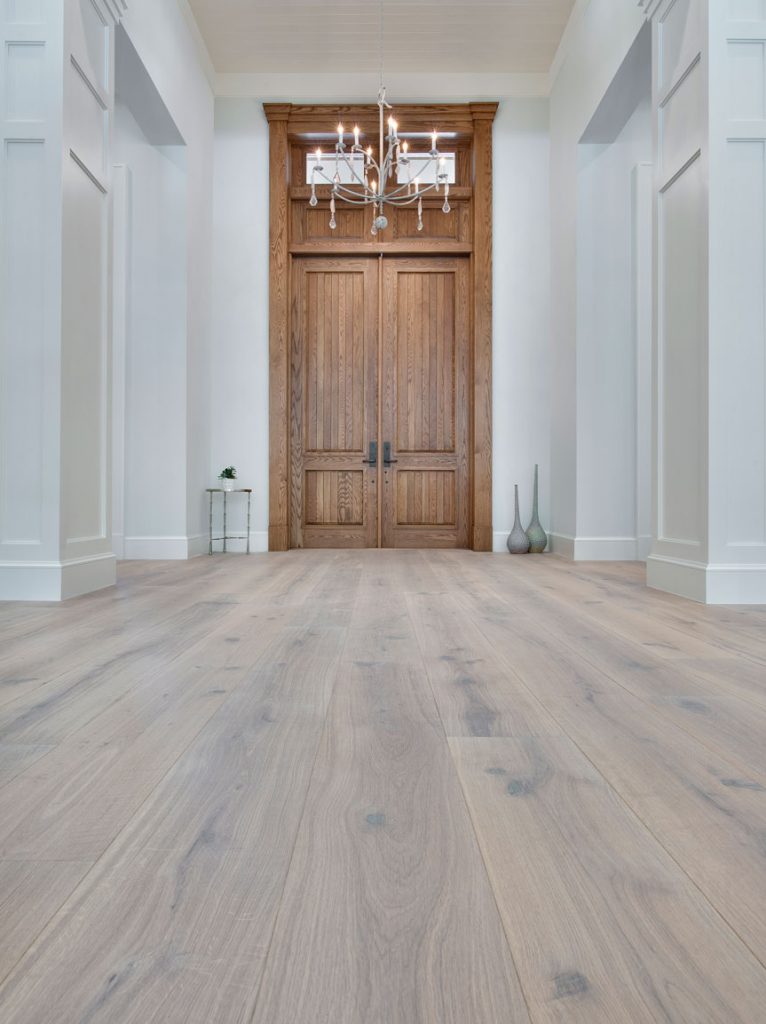 foyer with hardwood flooring