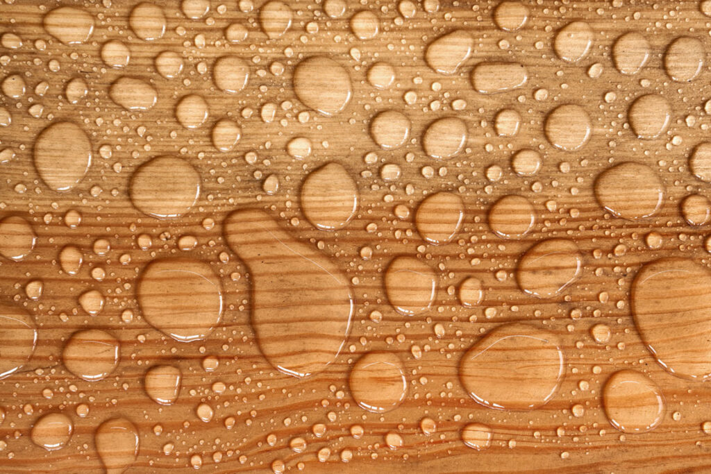 wet-floor water droplets on hardwood flooring