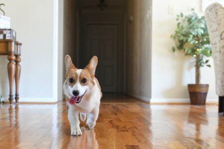 Benefits of Refinishing Your Hardwood Floor