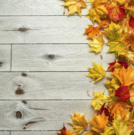 hardwood-floor-with-leaves