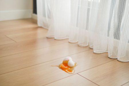 EMF blog 3 fresh-broken-egg-in-kitchen-floor-2024-12-13-09-20-18-utc egg on hardwood