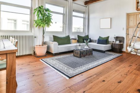 Cozy living room